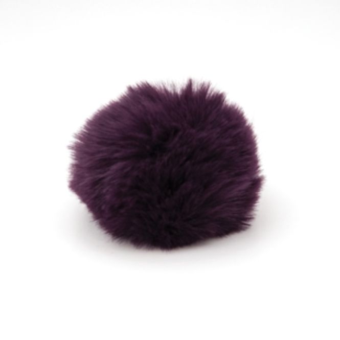 Hovedbilde Liten Dusk Korthåret 7,5cm